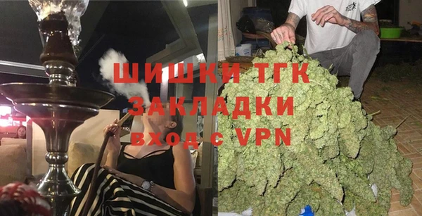 mdpv Ельня