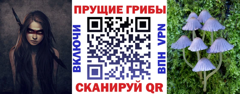 Галлюциногенные грибы Psilocybe  дарнет шоп  Омутнинск 